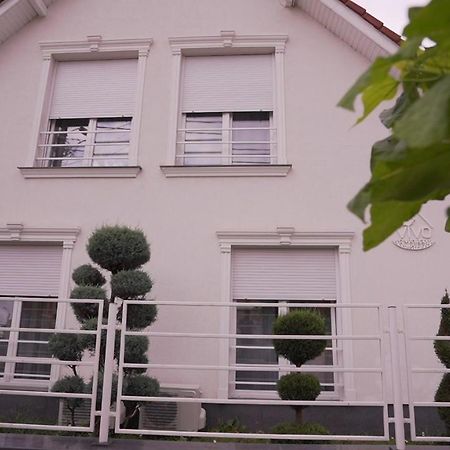 Vivo House Bed & Breakfast Târgu-Mureş Eksteriør bilde