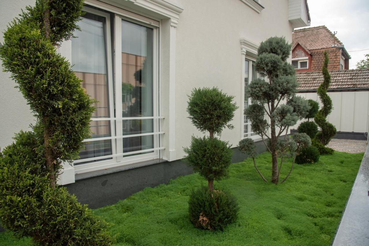 Vivo House Bed & Breakfast Târgu-Mureş Eksteriør bilde
