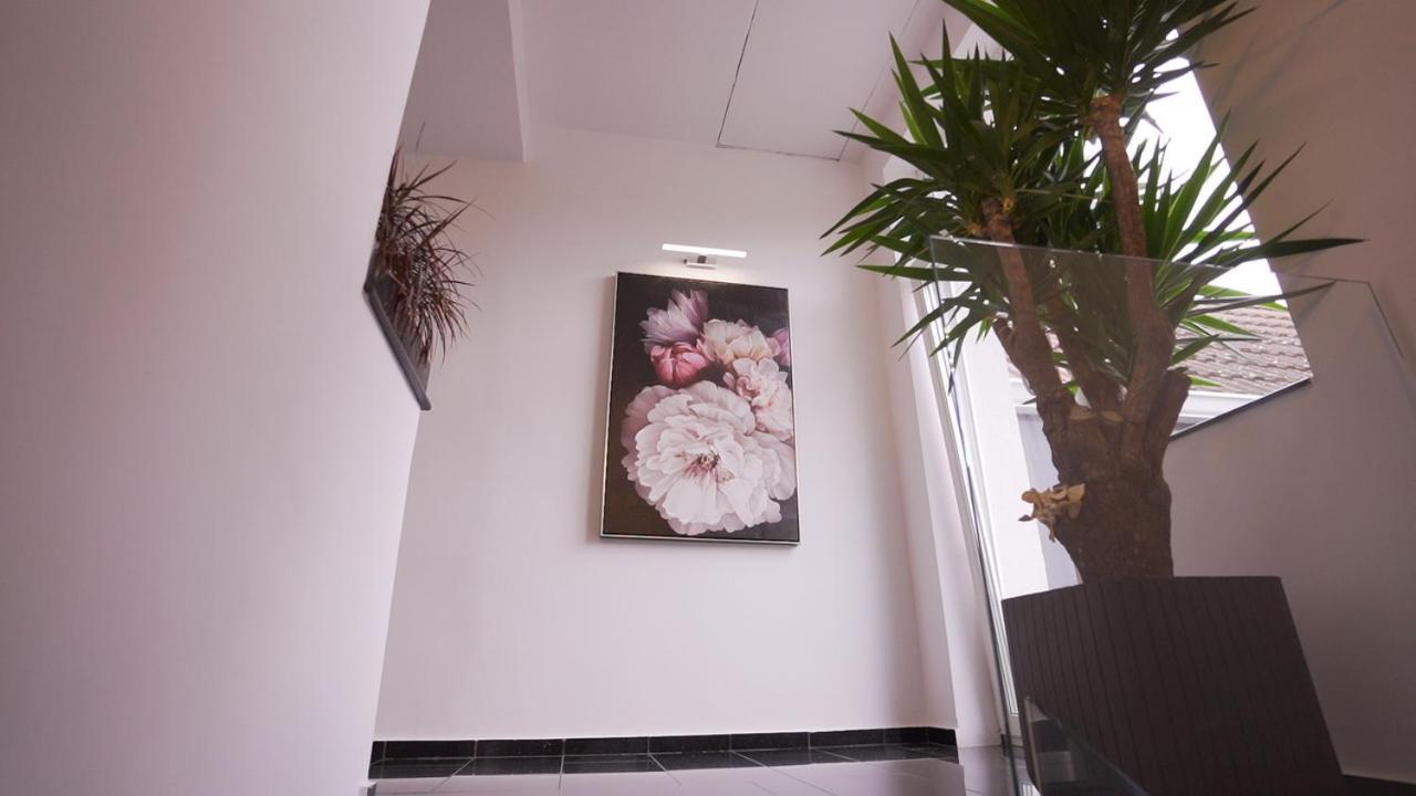 Vivo House Bed & Breakfast Târgu-Mureş Eksteriør bilde